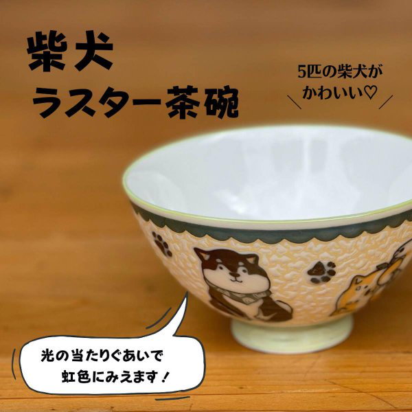 Qoo10] 美濃焼 柴犬 茶碗 おしゃれ 食洗機 ラ