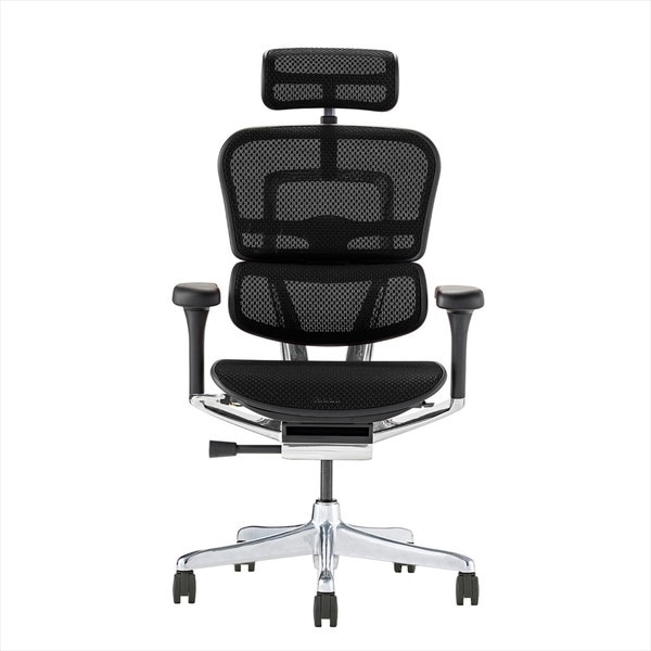 Ergohuman EHP2-HAM-BF-BK ブラックフレームブラックメッシュ PRO2 High Type [ハイタイプ 高機能オフィスチェア ヘッドレスト付き] メーカー直送