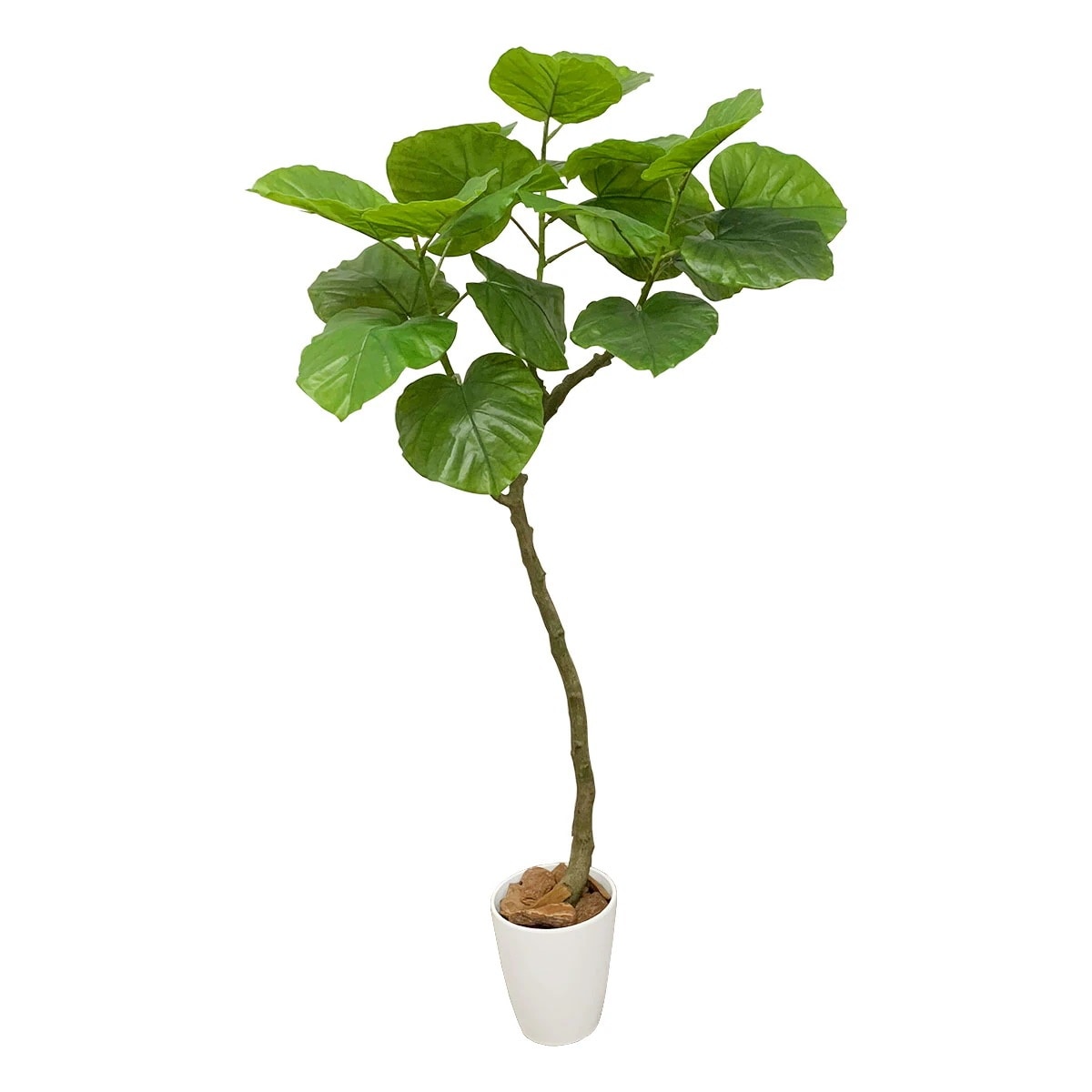 フェイクグリーン 人工観葉植物 人工観葉樹 造花 ウンベラータ 鉢付 おしゃれ オフィス 155cm