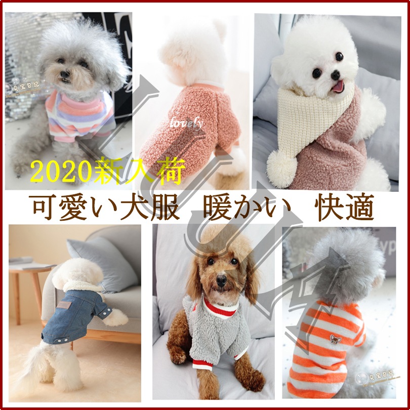 Qoo10] 2枚買うと1枚贈る!!!犬 洋服 犬服 : 犬用品