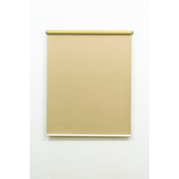 Fullness L2981 DNツッパリRS 60X135 SBE 遮光ベージュ つっぱり式ロールスクリーン 60×135cm メーカー直送