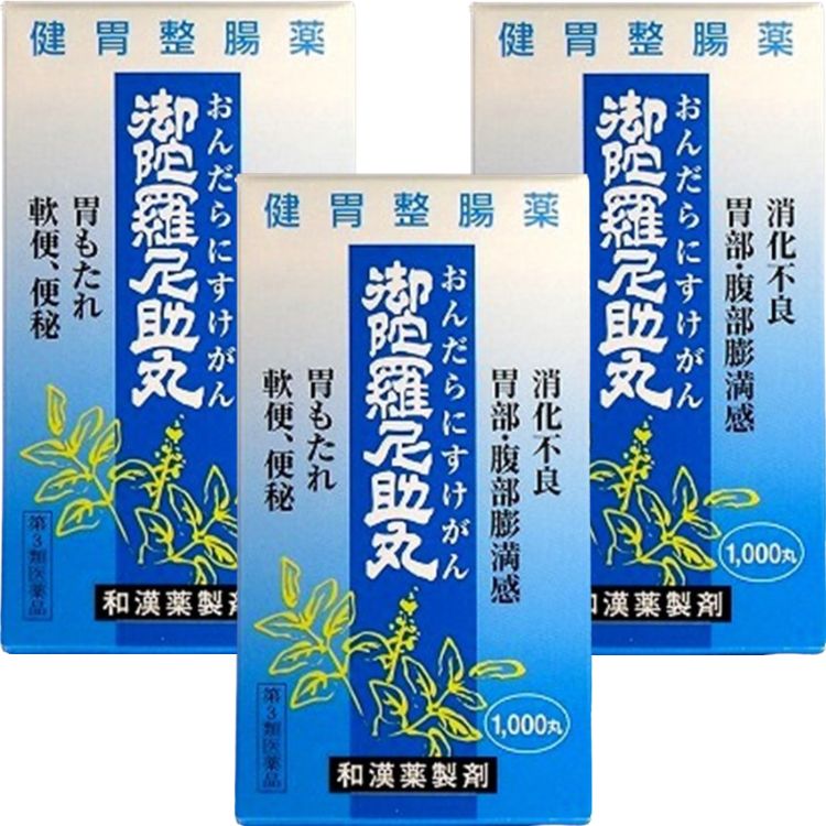 第3類医薬品 3個セット 二反田薬品 御陀羅尼助丸 1000丸 食欲不振 食べ過ぎ 飲み過ぎ 整腸