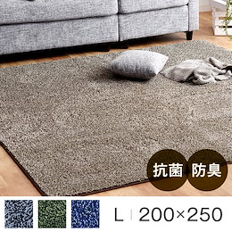 【送料無料】 ラグ 200×250 抗菌 防臭 タフト風 ボア シャギー ホットカーペット対応 長方形 ミックス カーペット ラグマット マット オールシーズン 四角 北欧 洗える おしゃれ ウォッシ