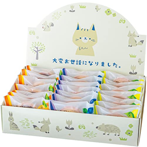 [KAZARIS] 退職 お菓子 お世話になりました 個包装 プチギフト ガトー 人気 詰め合わせ ギフト 21個入 (大変お世話になりました)