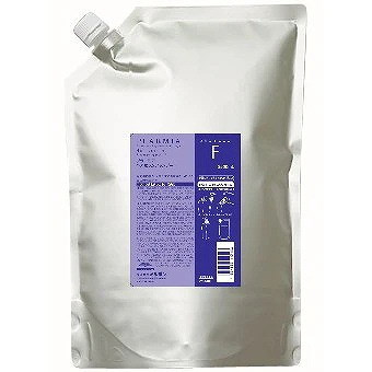 未組み立てガレージキット 水着ネロ 夢のカグツチノ公国 【公式通販】