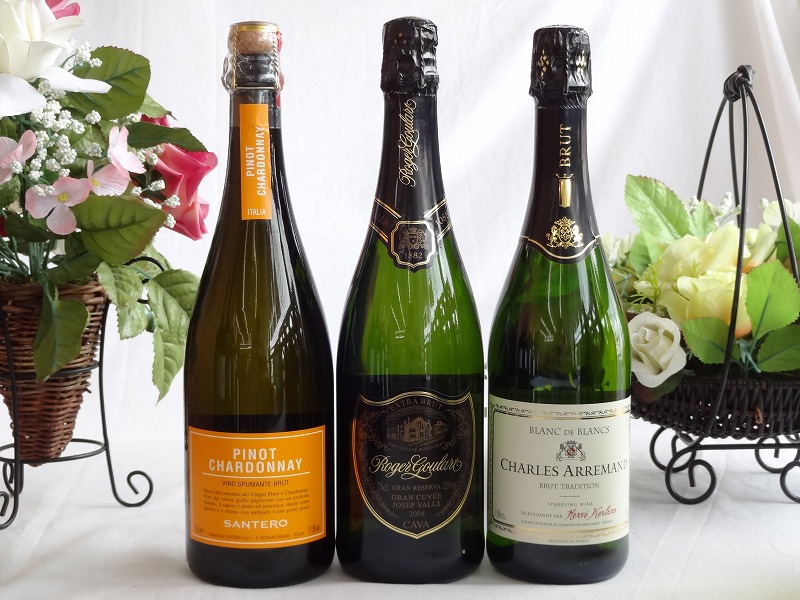 【第2弾】世界のスパークリングワイン飲み比べ！辛口3本セット（スペインフランスイタリア泡ワイン3