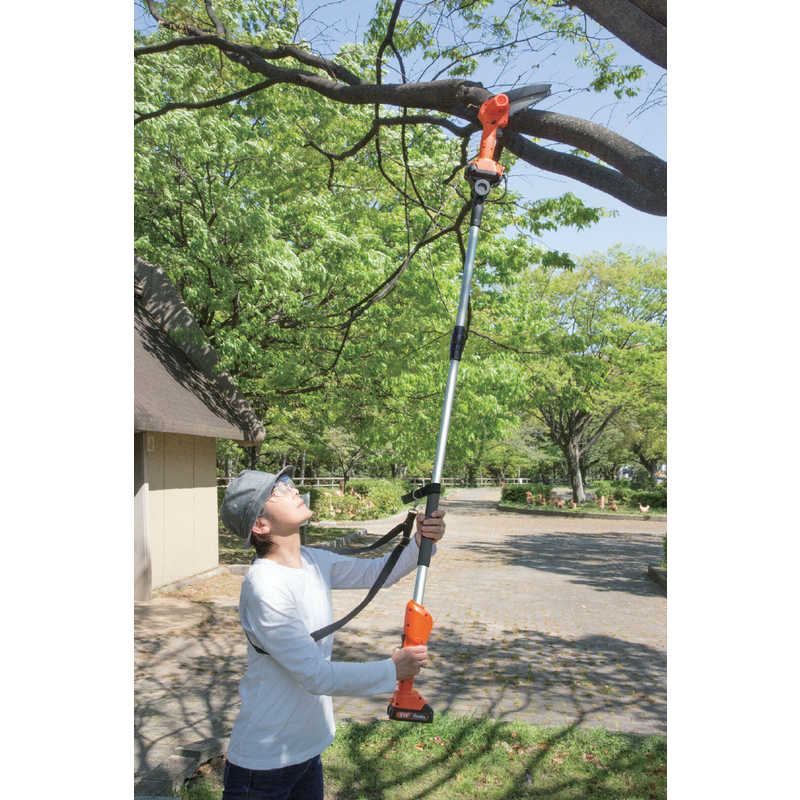 ファミリー・ライフ　NEW充電式コードレス2WAY高枝チェーンソー 8点セット　04286