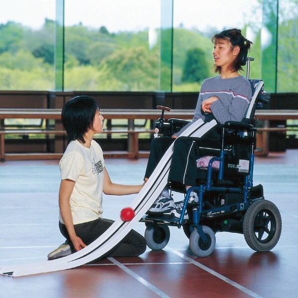 エバニュー ETE032 ボッチャ用ランプス 【法人限定】 メーカー直送 35,035円