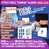 kiiikiii 中国 中華 jingdong 京東 予約特典トレカ 5枚セット kiiikiii starriver sr 2.0 特典 トレカ 5枚セット - メルカリ