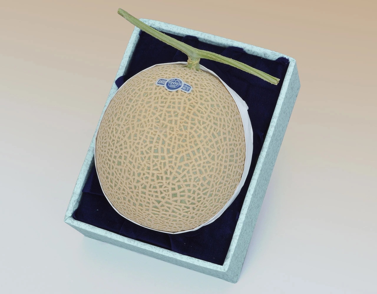 【静岡県産クラウン マスクメロン 1玉（約1.4kg) 林フルーツ】