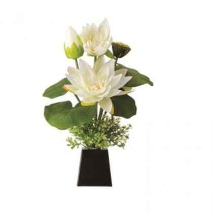 ロータス すい蓮灯 白 YMG6426