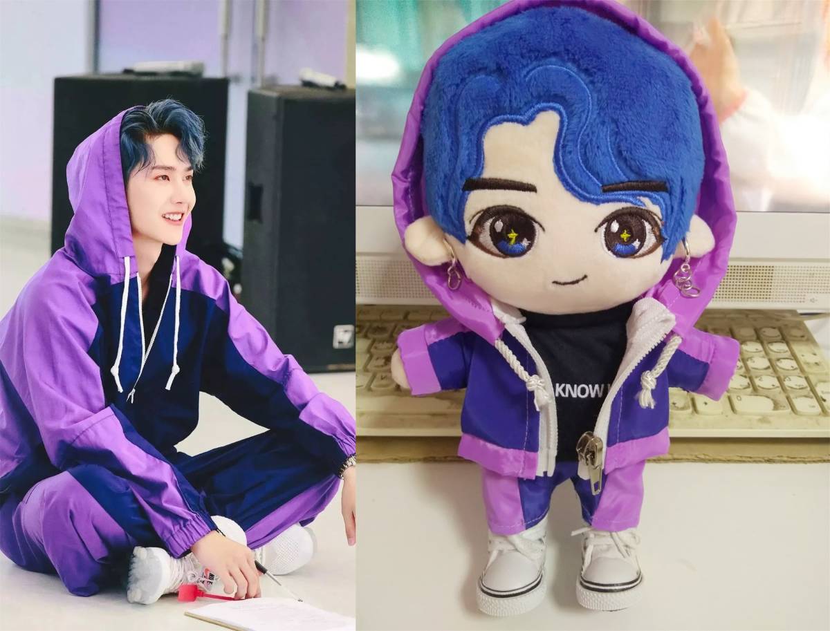 中国ドラマ『陳情令（The Untamed）』 原作『魔道祖師』限定グッズ キャラクターぬいぐるみ 藍忘機役 王一博ドール 創造101時期藍髪人形