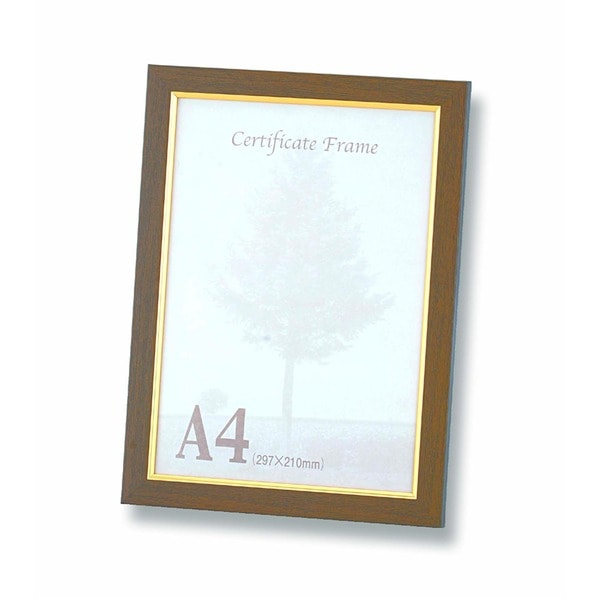 A4フレーム 〕 金フレーム A4 297×210mm ゴールド 〔 10枚セット