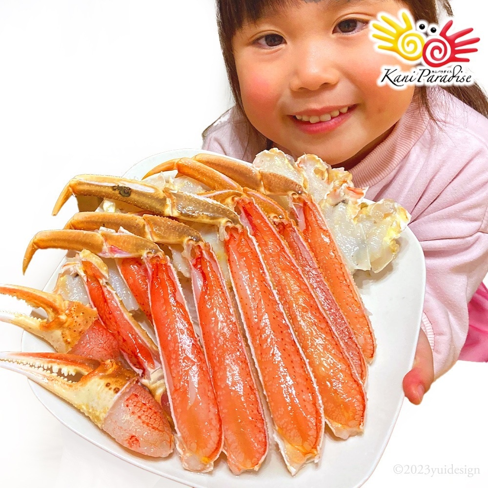 かに カニ 蟹 カット済 ずわいがに むき身セット 総重量750g(正味重量600g) かにしゃぶ かに鍋 ズワイガニ ずわい蟹 オオズワイガニ バルダイ ギフト 食品 贈り物 お歳暮 ご年始 御年始