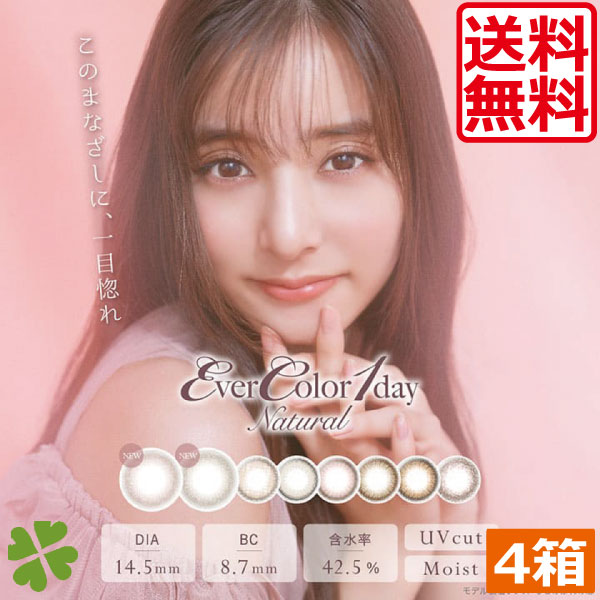 エバーカラーワンデー ナチュラル 　(20枚入）　4箱　カラコン　アイセイ　新木優子