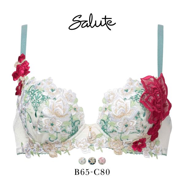 ワコール サルート 16グループ 16G P-UP ブラジャー プッシュアップ BC 谷間 Waco