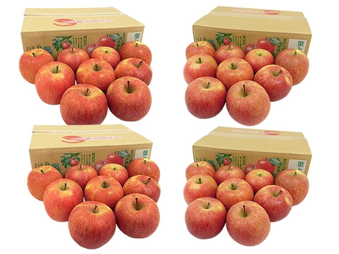 青森産 JAつがる弘前 =葉とらず太陽ふじりんご= 36-52玉 約12kg（約3kg x4箱） 産地箱 予約 1月以降 7,288円