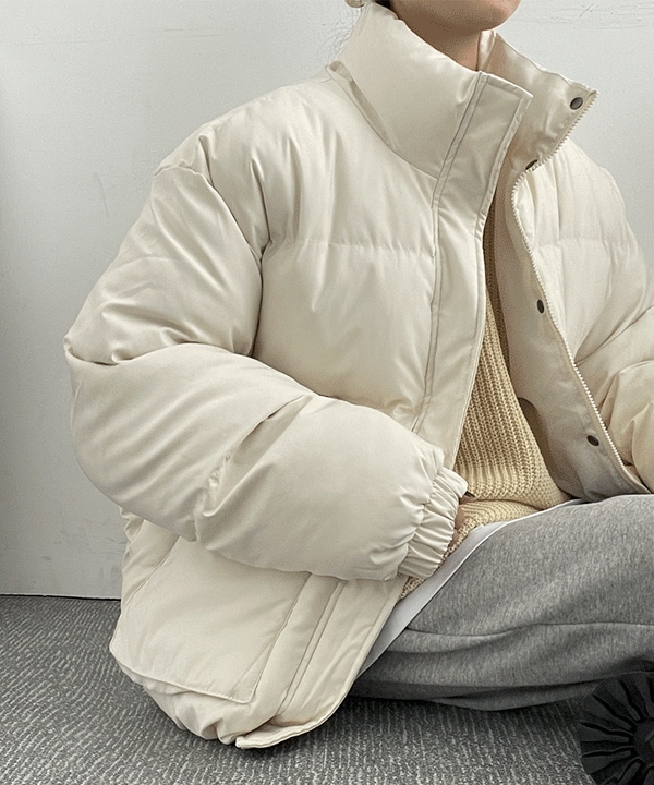 [ビッグサイズ] 冬の新商品！ 暖かい シンプル ベーシック ダウン (4color)