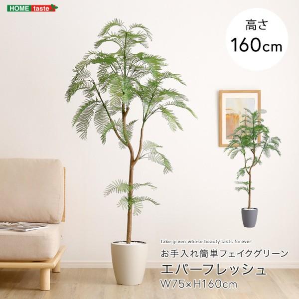 人工観葉植物 エバーフレッシュ 高さ160cm Mサイズ フェイクグリーン お手入れ簡単 観賞用造花 観葉植物 室内ガーデン グリーン