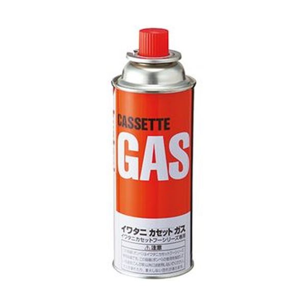 （まとめ）岩谷産業 カセットガス オレンジ250g/本 CB-250-OR 1パック（3本）(×20セット)