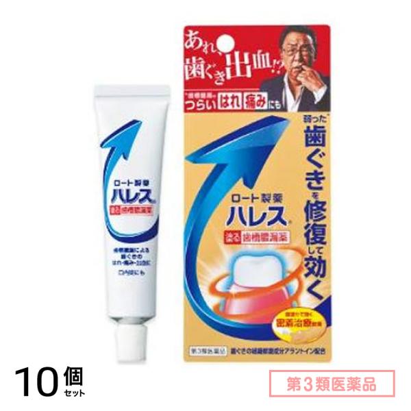 第３類医薬品 ハレス口内薬 15g 10個セット