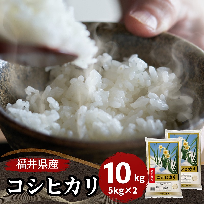 【数量限定】福井県産コシヒカリ10kg(5kg2袋) 白米　令和7年産