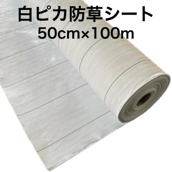 ルンルンシート 白ピカ　0.5m100m 防草シート 白色 反射 草抑え 除草 雑草防止 雑草対策 太陽光発電 作物 野菜畑 農業 農園 マルチ