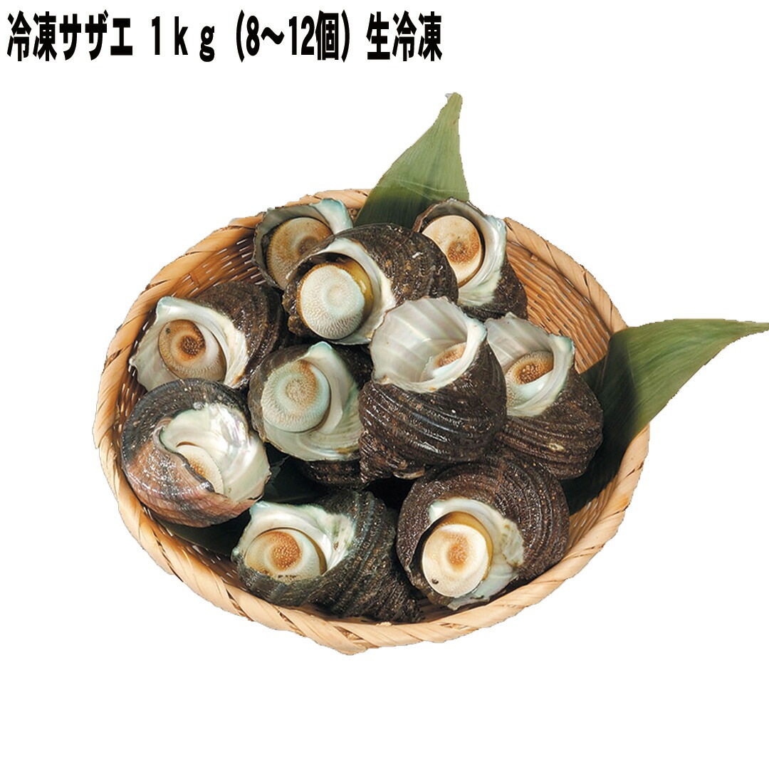 冷凍サザエ サザエ１ｋｇ（812個） 生冷凍 【産直メーカー直送品】