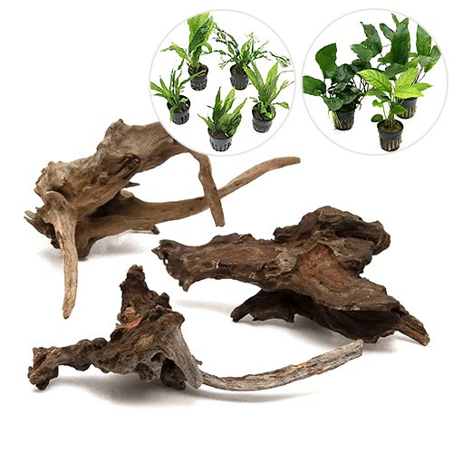 （水草）レイアウト素材水草セットＶｅｒ．ディアーホーンウッド　Ｓ（ミクロソリウム　２種＋アヌビアス　１種）（１セット）　ＣＲＣ12―23―30―00―00