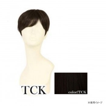 プリシラ 男性用5分ウィッグ ミディアムショート 耐熱 ショコラブラック GB-24-TCK
