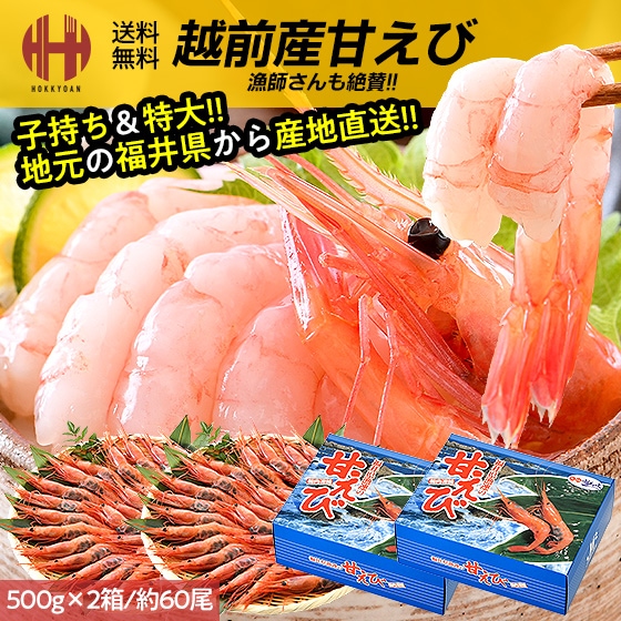 甘エビ 甘えび 特大 子持ち 刺身 1kg 500g×2箱 約60尾 冷凍 越前甘エビ 福井県 ギフト