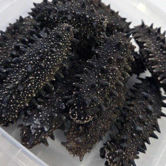 北海道産 天然乾燥ナマコ【特撰A級品】L-Mサイズ500g（約60-100個入）海黒ダイヤ