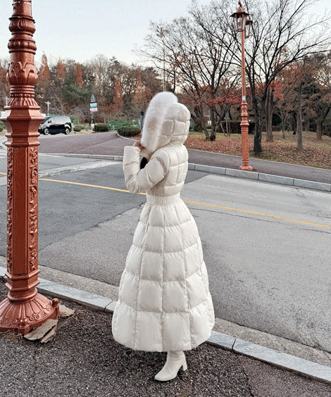 エルサグースフォックスファーロングダウン