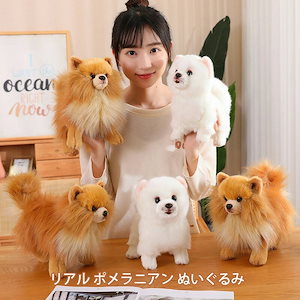 ポメラニアン ぬいぐるみ いぬ イヌ 犬 リアル かわいい 癒し 柔らかい 動物 置物 インテリア プレゼント クリスマス 誕生日 バレンタイン ホワイトデー 贈り物