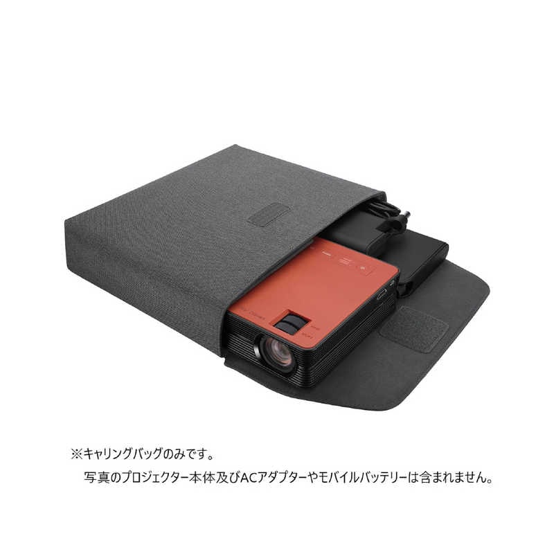 カシオ　CASIO　FORESIGHT VIEW専用 キャリングバッグ　YB-3