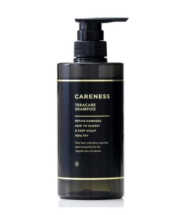 【メガ割り限定】ケアネス　CARENESS　テラケア　ケア シャンプー 500ml 4,381円