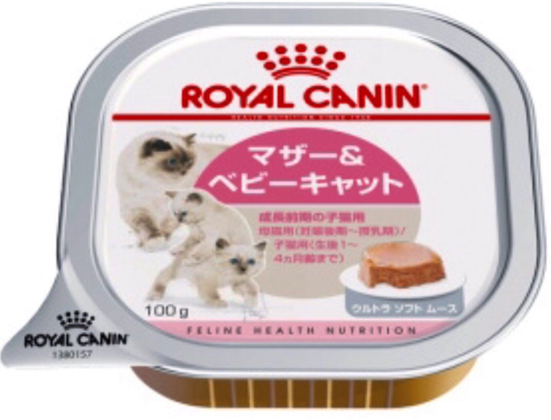 ロイヤルカナン FHN -WET ベビーキャット 猫用 100g×24個