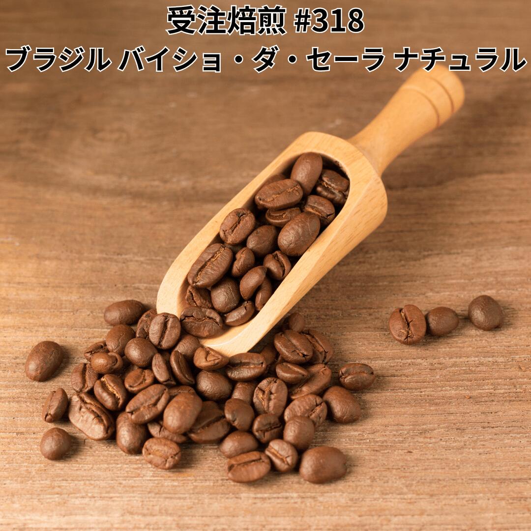 受注焙煎 2kg コーヒー豆 ブラジル バイショ・ダ・セーラ ナチュラル Qグレード スぺシャルティコーヒー 珈琲