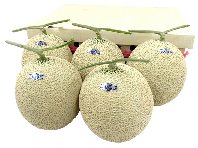 静岡産 =クラウンメロン= 大玉 5玉 約9kg 等級 白 産地箱