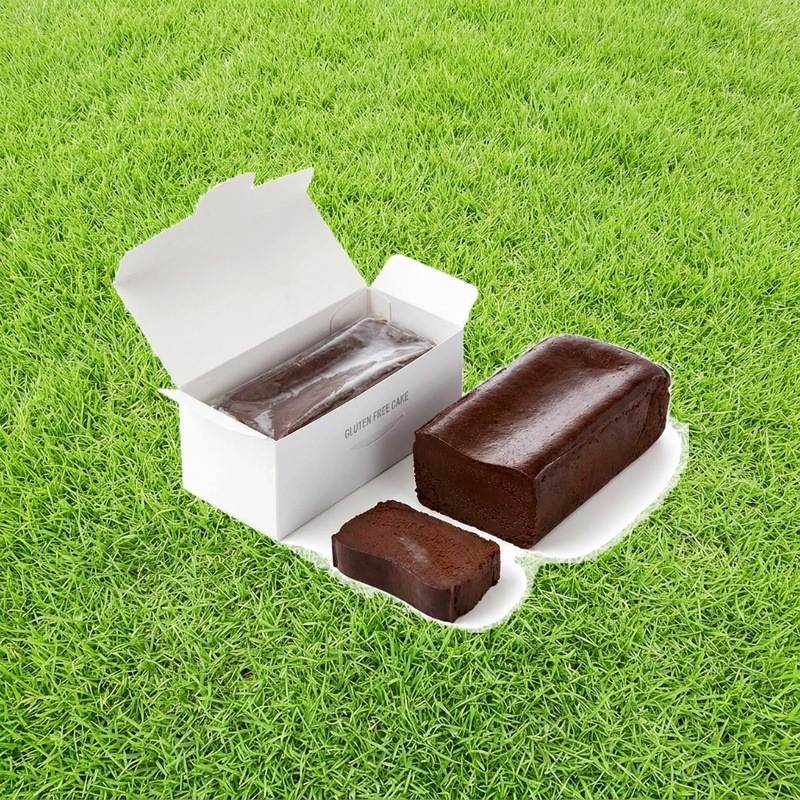 グルテンフリー 生 ガトーショコラ ギフト 350g×2箱 (1箱4~5人前) テリーヌショコラ お菓子 保存料 着色料 白砂糖 不使用 Go organic! ゴーオーガニック バレンタイン 母の日