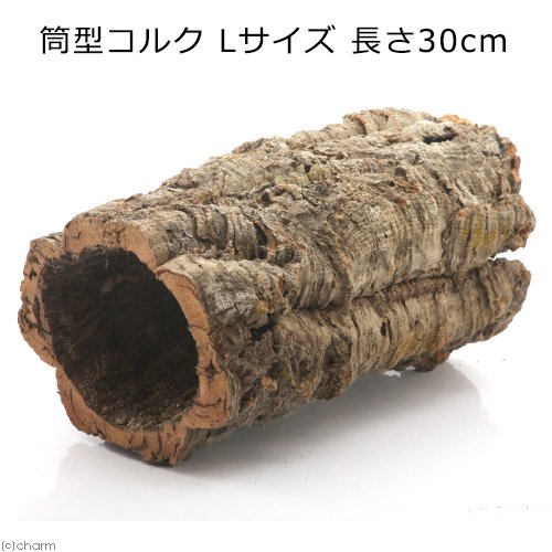 形状お任せ　筒型コルク　Ｌサイズ　長さ３０ｃｍ　蘭　エアプランツ　着生植物　爬虫類　ＣＲＣ90―03―05―60―00