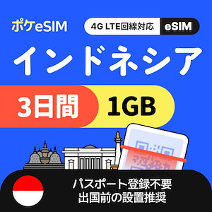 【秋のスペシャルプライス！】インドネシア eSIM 1日1GB 3日間 データ通信専用（電話番号なし） 有効期限90日