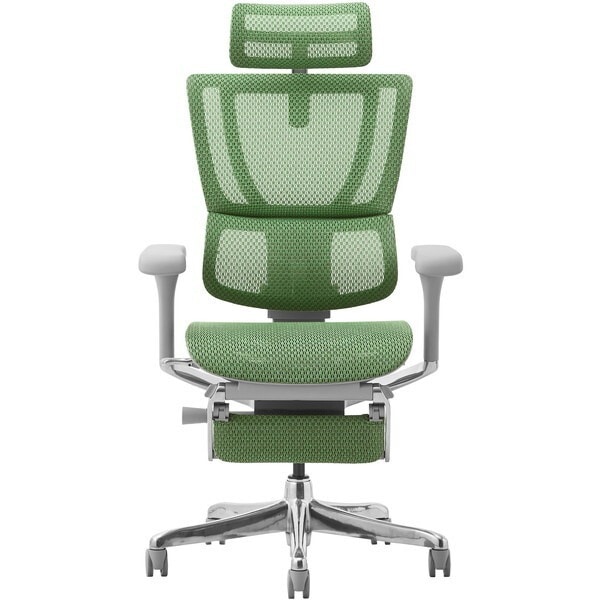 関家具 459652 Ergohuman FIT2-LPL-DR-GF-GN グレーフフレーム×グリーン オフィスチェア メーカー直送