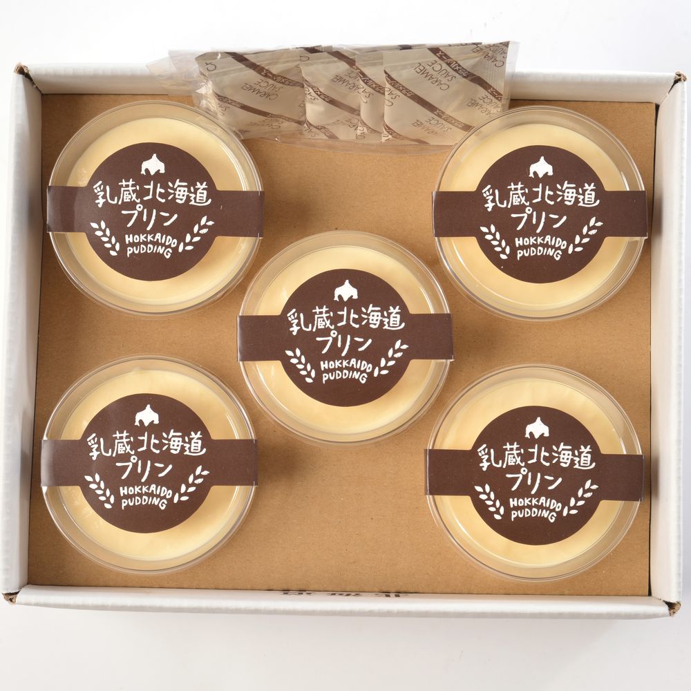 （グルメギフト）乳蔵 北海道なめらかプリン 5個
