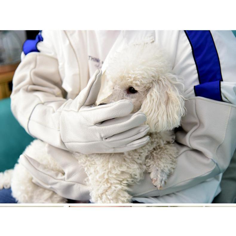 犬 ペットグ ローブ 噛みつき防止 ペット 噛みつき防止手袋 噛みつき 防止 手袋 猫 犬 グローブ セーフティグローブ 厚手 園芸 動物捕獲ネット