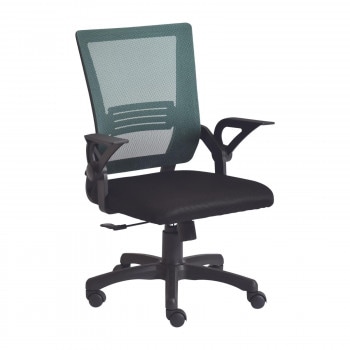 ホームチェア アレンネス GN