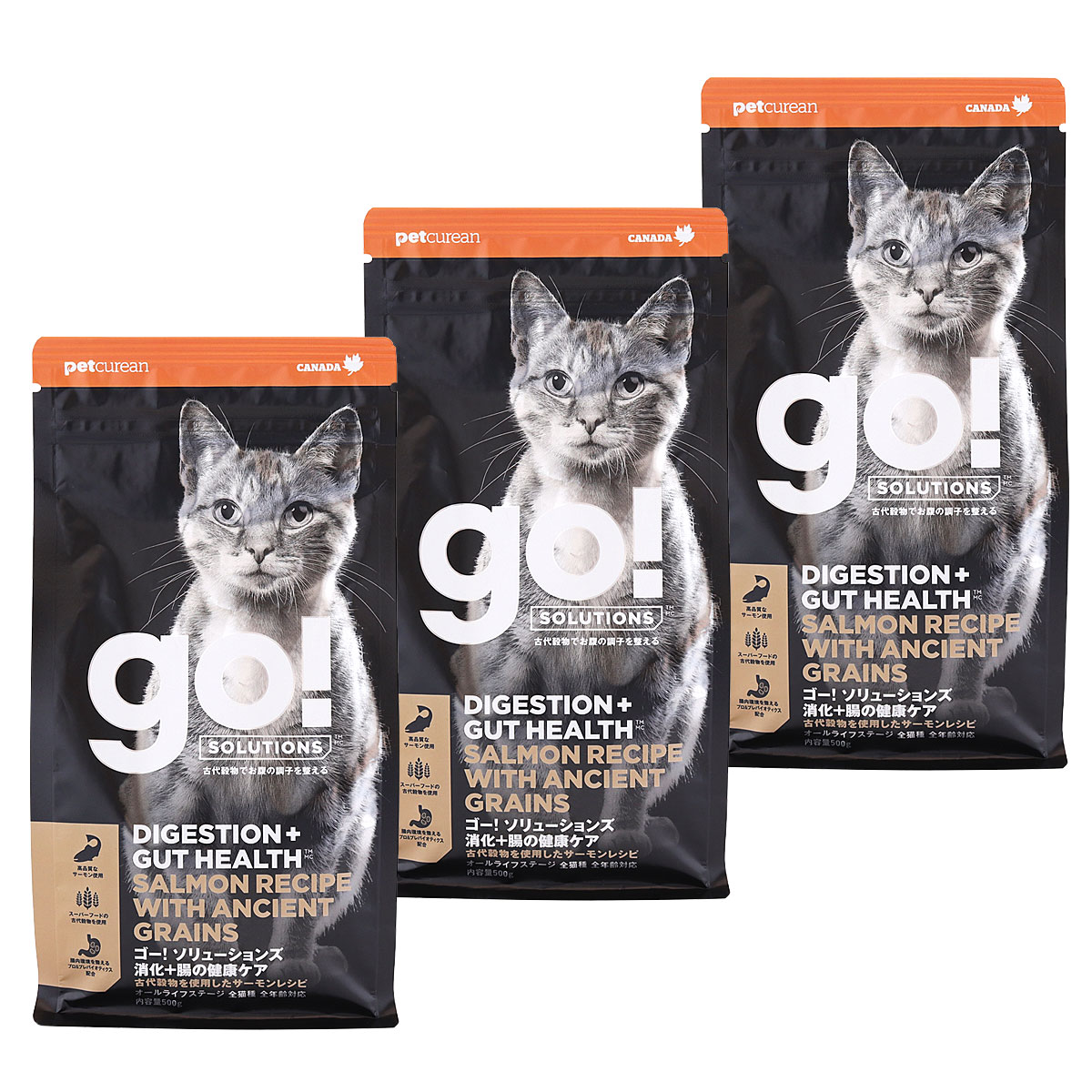 GO! ゴー ソリューションズ キャット 消化+腸の健康ケア 古代穀物 サーモン 500g×3袋