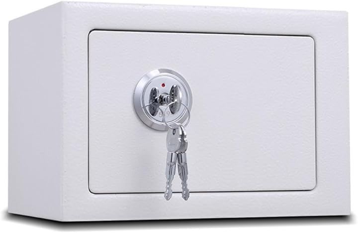 金庫家庭用 スチール製金庫 戸建て防犯用 シリンダー式 5L 23x17x17cm (ホワイト)