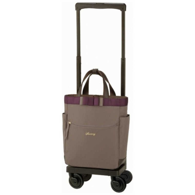 スワニー　D-640 ルバンド お買い物キャリー Mサイズ ルバンド グレージュ　64001
