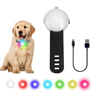 安全LEDフラッシングライト充電式防水4モードカラー変更カラーリーシュまたは皿に調整可能夜間散歩用の犬の安全ランキャンプ自転車LEDバックパック